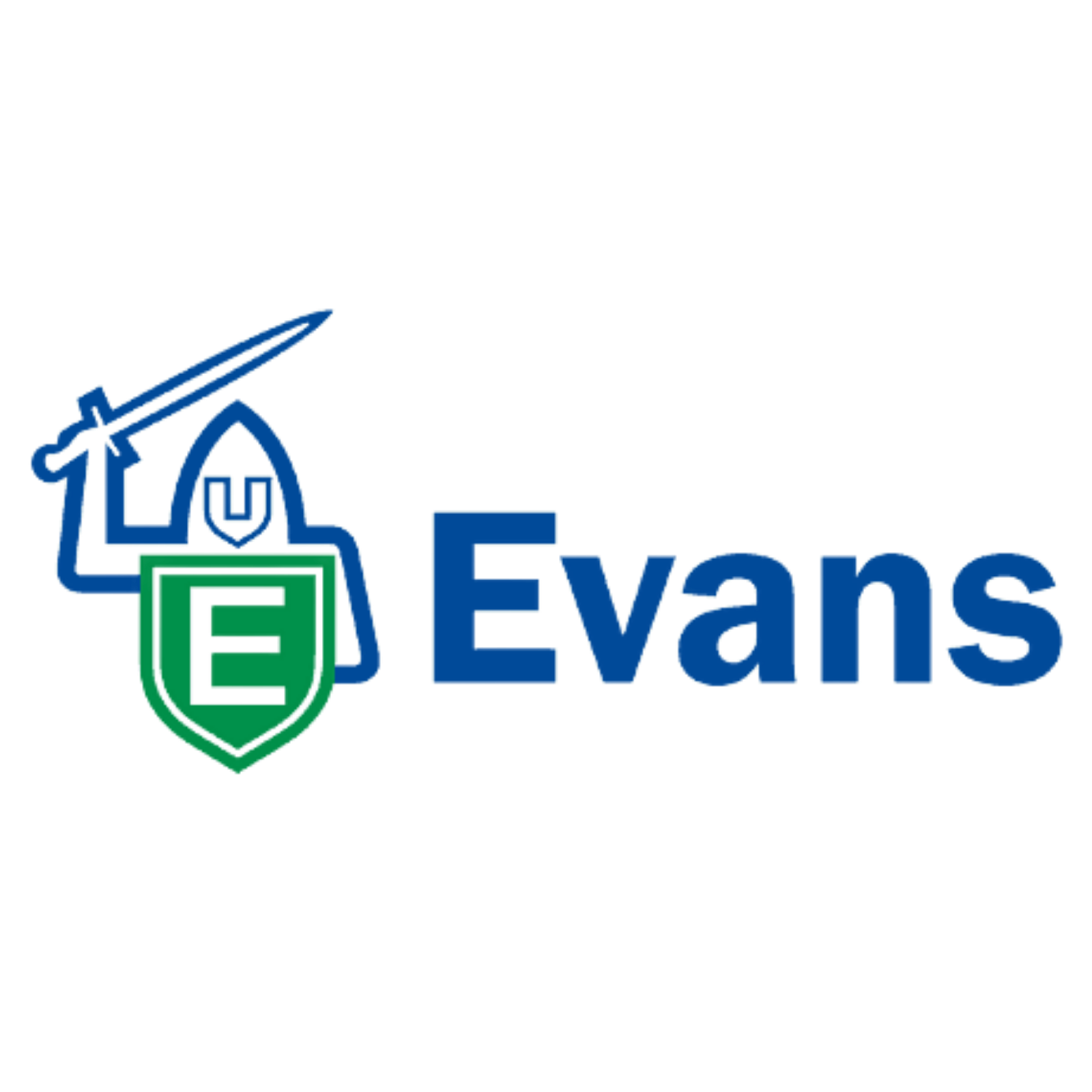 Evans Vanodine Pine Gel | Cleaning & Deodorising Gel
