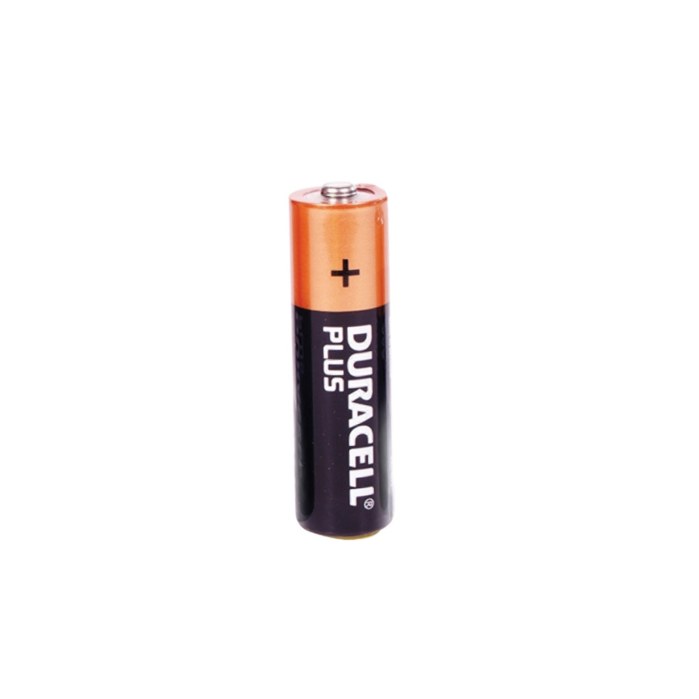 Duracell Plus Batteries - AA