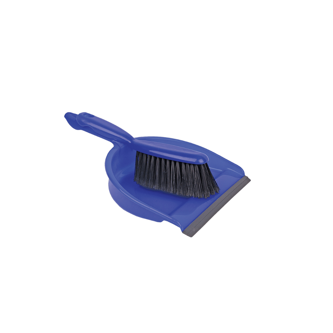 Dust Pan & Brush Set - Blue
